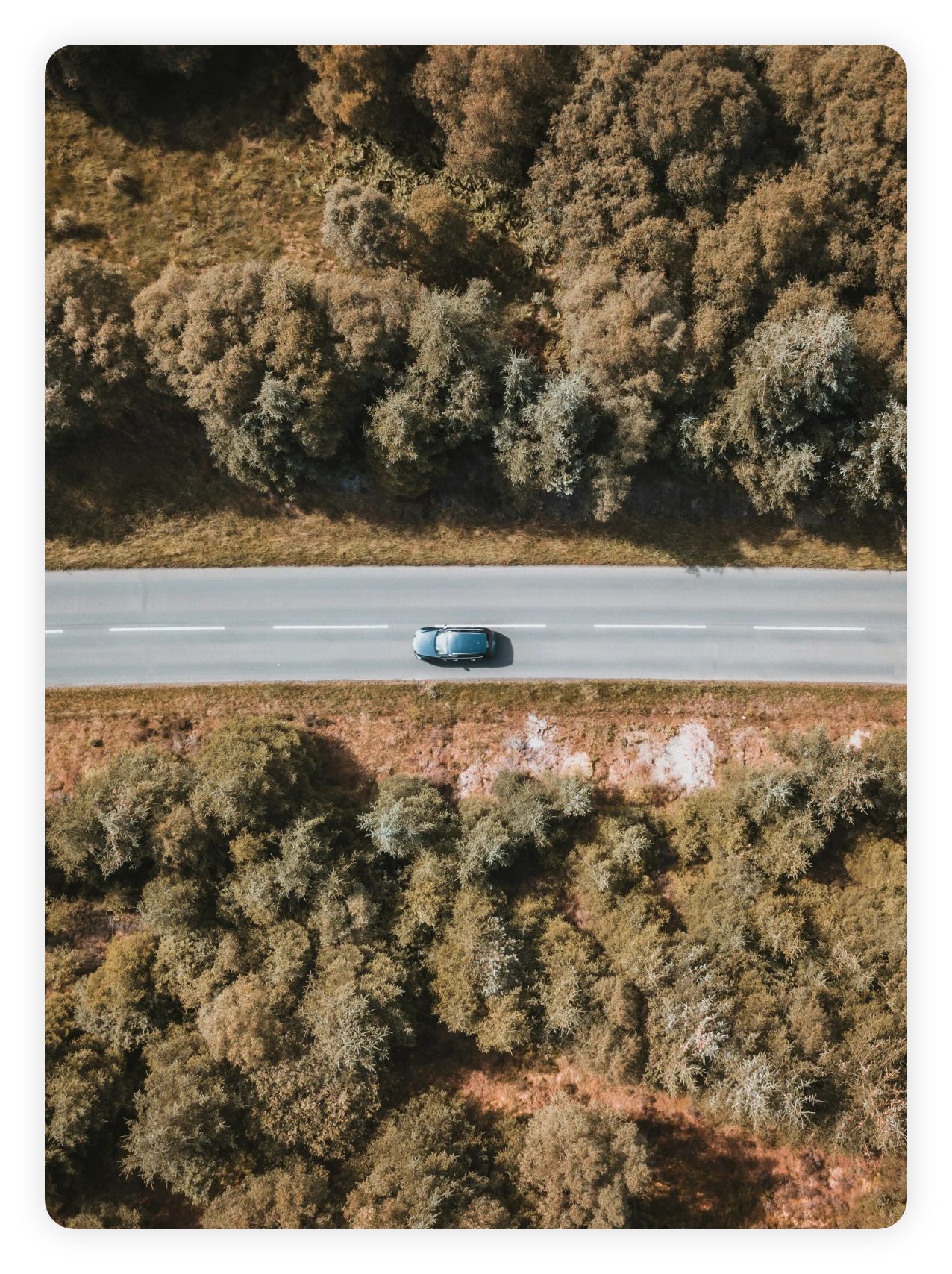 Aerial view of a car on a road through woodland
