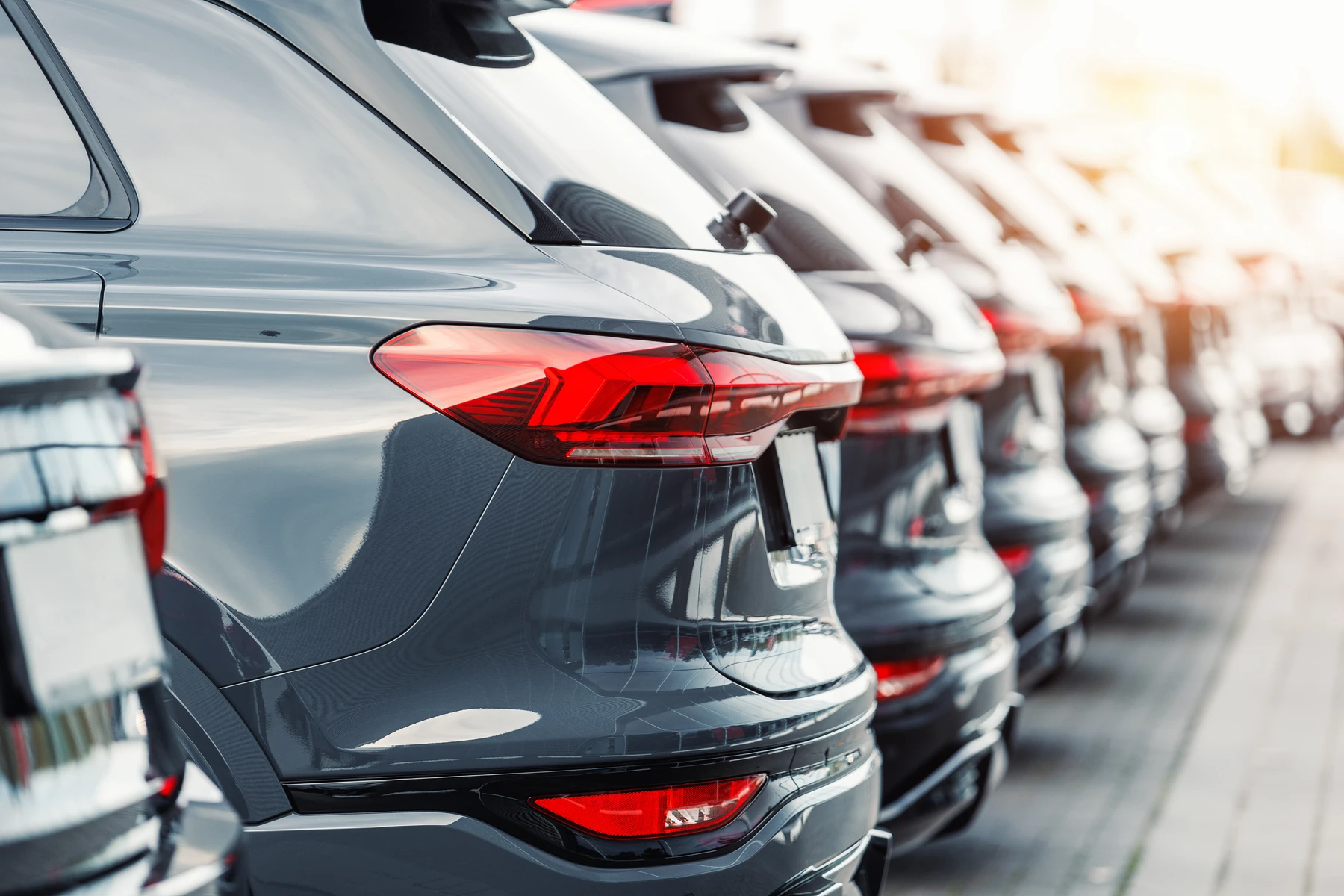 A row of parked cars viewed from behind.